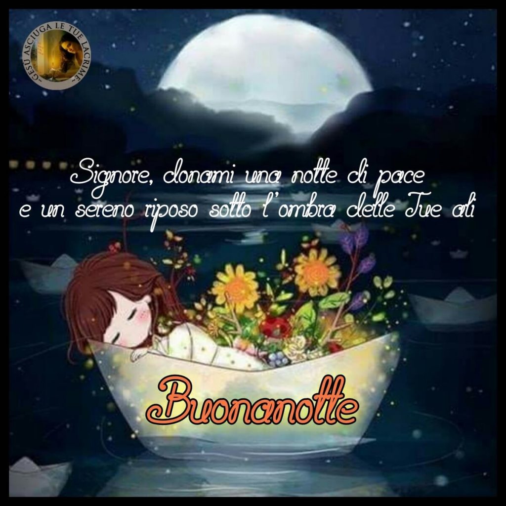 Signore, donami una notte di pace e un sereno riposo sotto l'ombra delle Tue ali. Buonanotte
