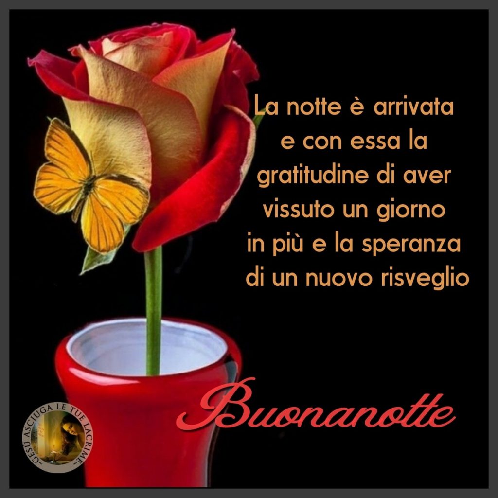 La notte è arrivata e con essa la gratitudine di aver vissuto un giorno in più e la speranza di un nuovo risveglio. Buonanotte