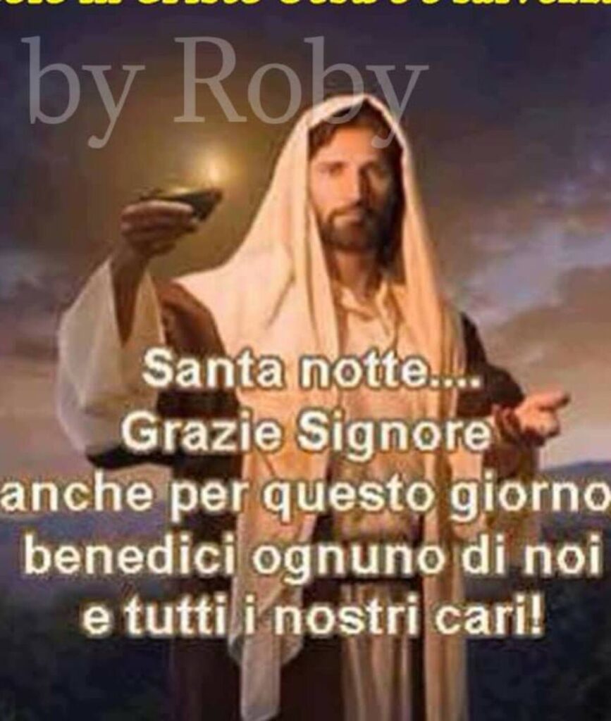 Santa notte... Grazie Signore anche per questo giorno, benedici ognuno di noi e tutti i nostri cari!