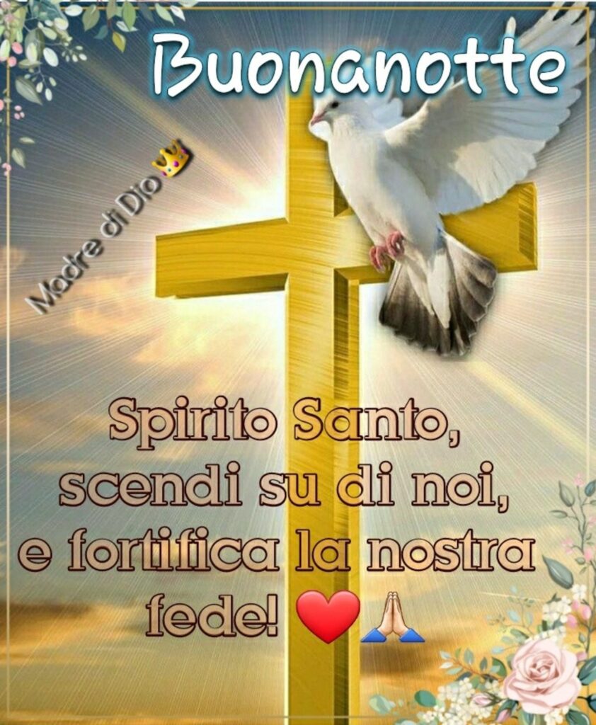 Buonanotte. Spirito Santo, scendi su di noi, e fortifica la nostra fede!