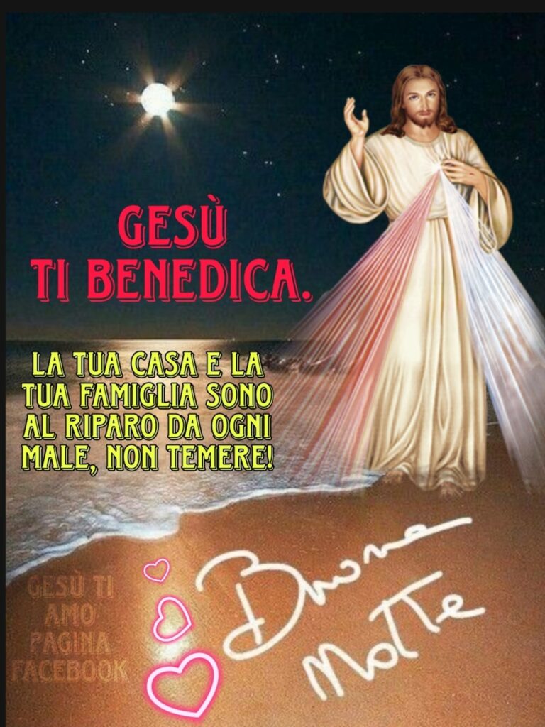 Gesù ti benedica. La tua casa e la tua famiglia sono al riparo da ogni male, non temere! Buona notte