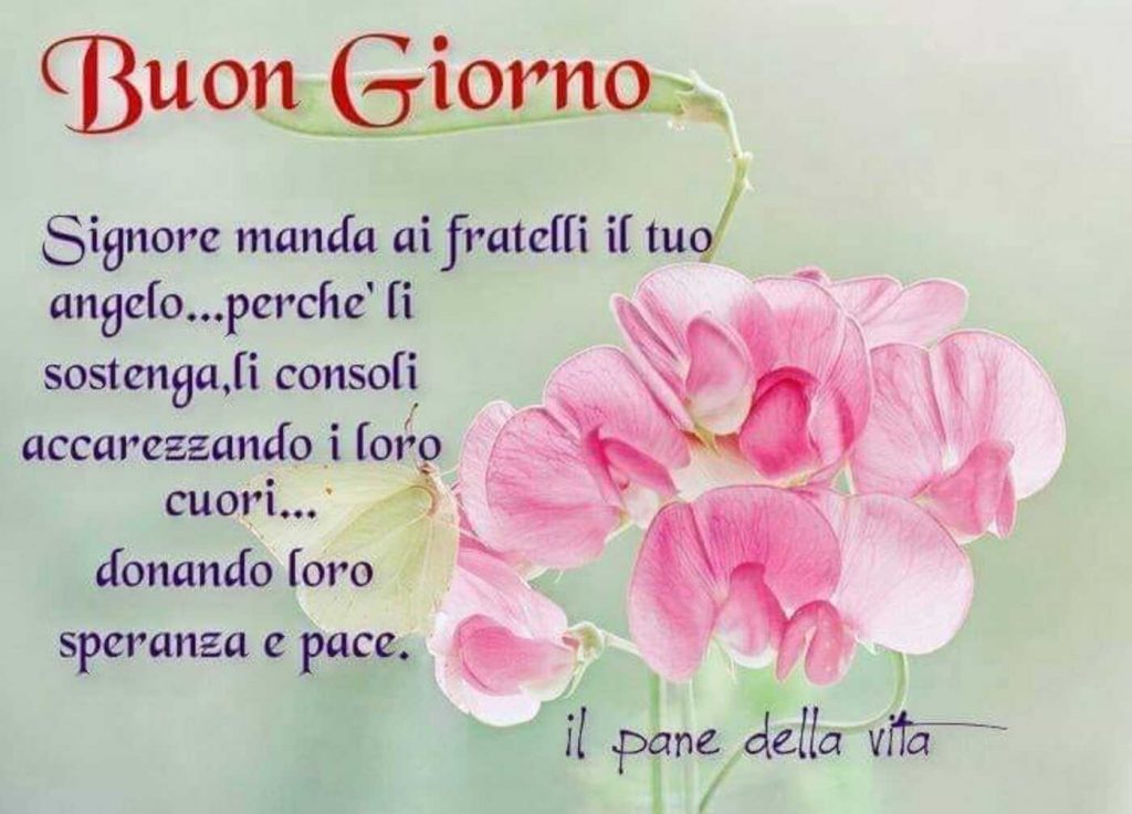Buon Giorno. Signore manda ai fratelli il tuo angelo... perché li sostenga, li consoli accarezzando i loro cuori... donando loro speranza e pace.