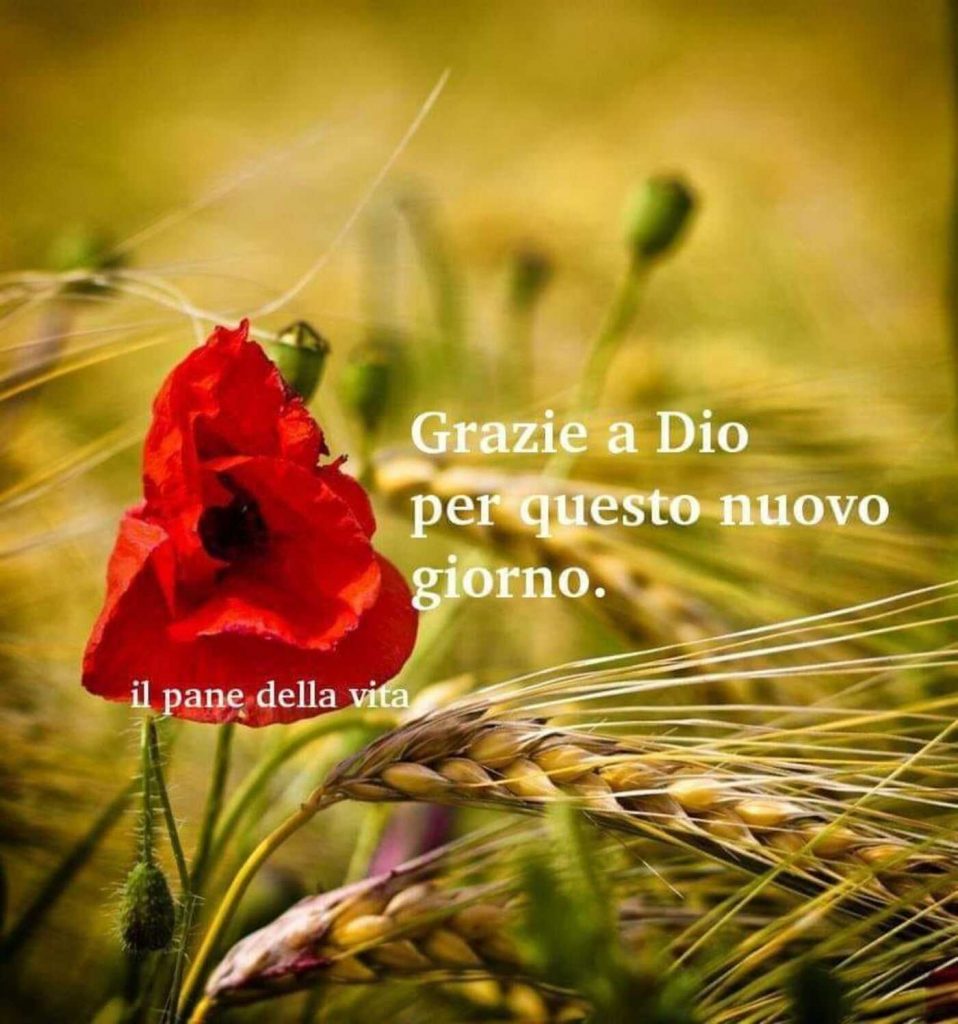 Grazie a Dio per questo nuovo giorno (Il pane della vita)