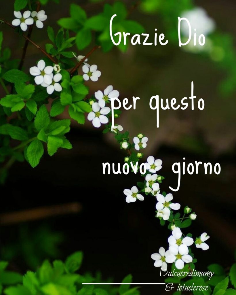 Grazie Dio per questo nuovo giorno