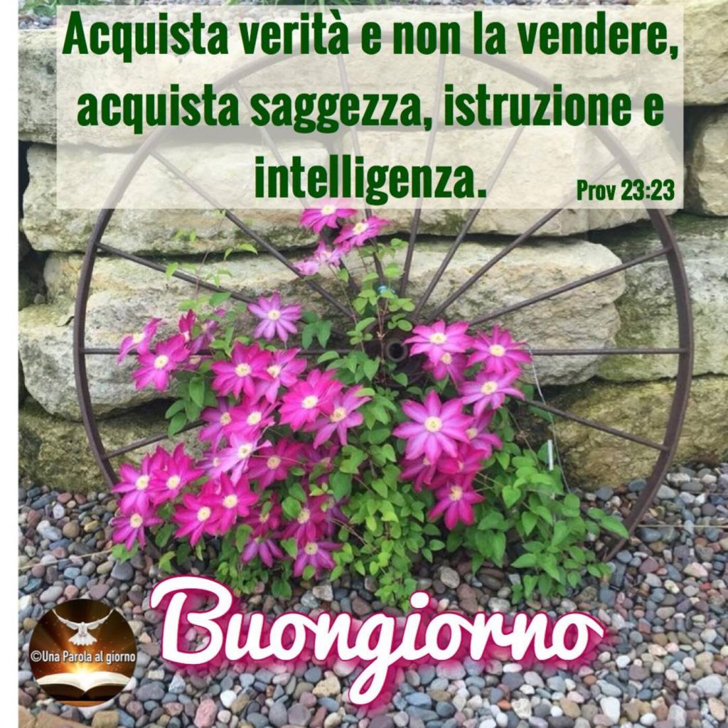 "Acquista verità e non la vendere, acquista saggezza, istruzione e intelligenza." (Prov 23:23) Buongiorno