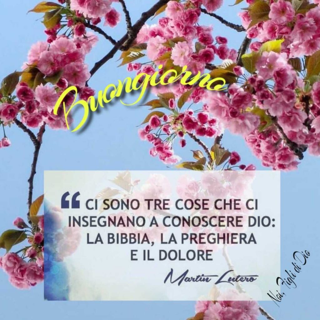 Buongiorno. "Ci sono tre cose che ci insegnano a conoscere Dio: la Bibbia, la preghiera e il dolore." {Martin Lutero)