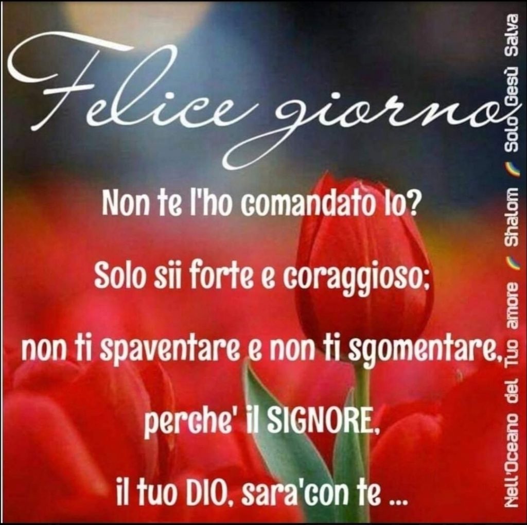 Felice giorno. Non te l'ho comandato io? Solo sii forte e coraggioso: non ti spaventare e non ti sgomentare, perché il Signore, il tuo Dio, sarà con te... (Shalom, solo Gesù salva)