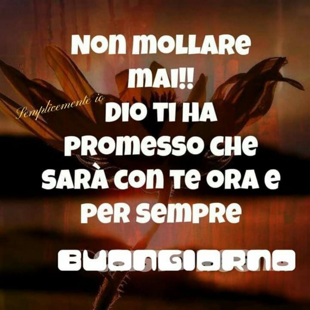 Non mollare mai!! Dio ti ha promesso che sarà con te ora e per sempre. Buongiorno