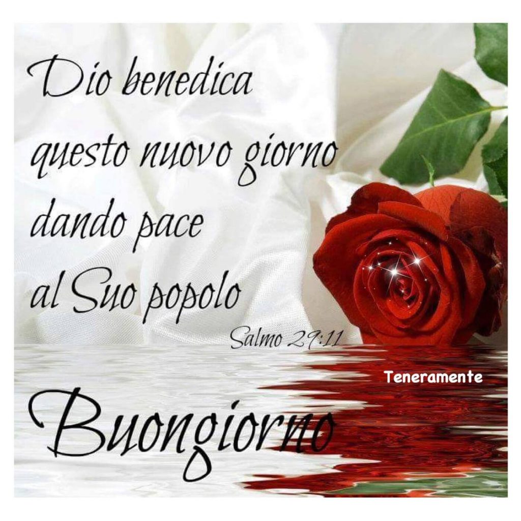 Dio benedica questo nuovo giorno dando pace al Suo popolo. (Salmo 29:11) Buongiorno