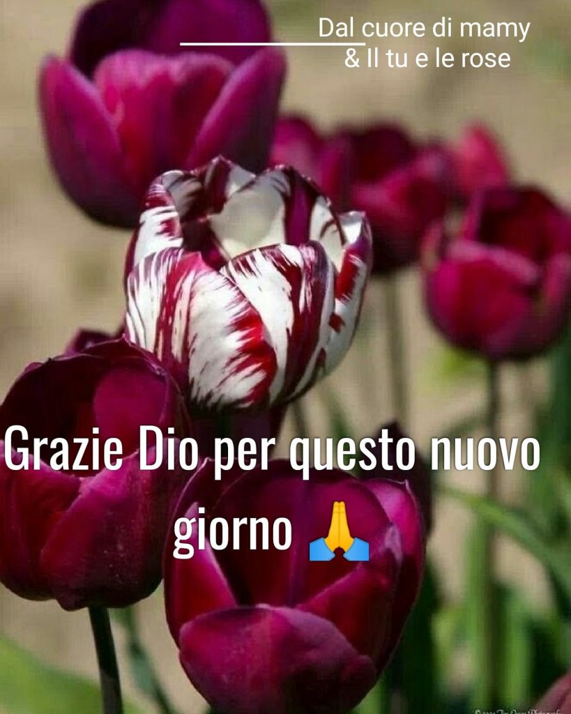 Grazie Dio per questo nuovo giorno
