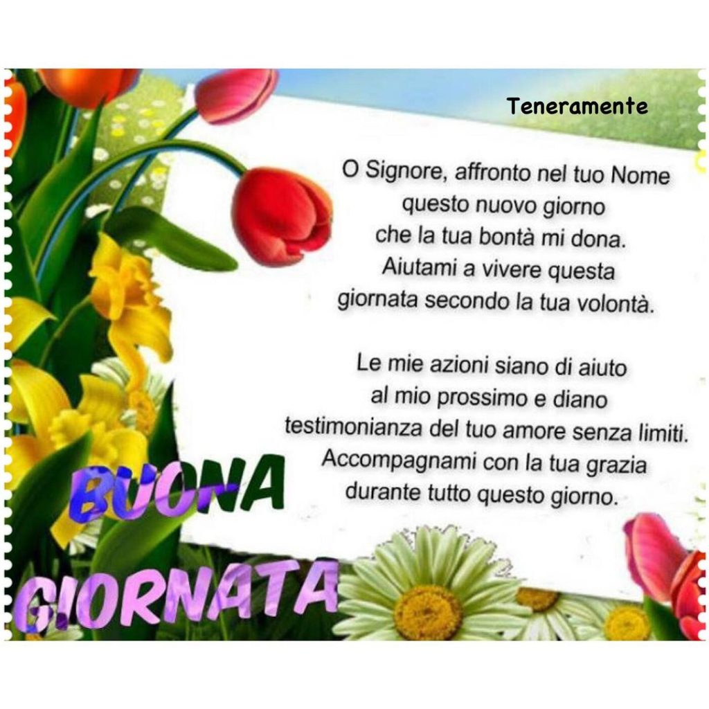 O Signore, affronto nel Tuo nome questo nuovo giorno che la Tua bontà mi dona... BUONA GIORNATA