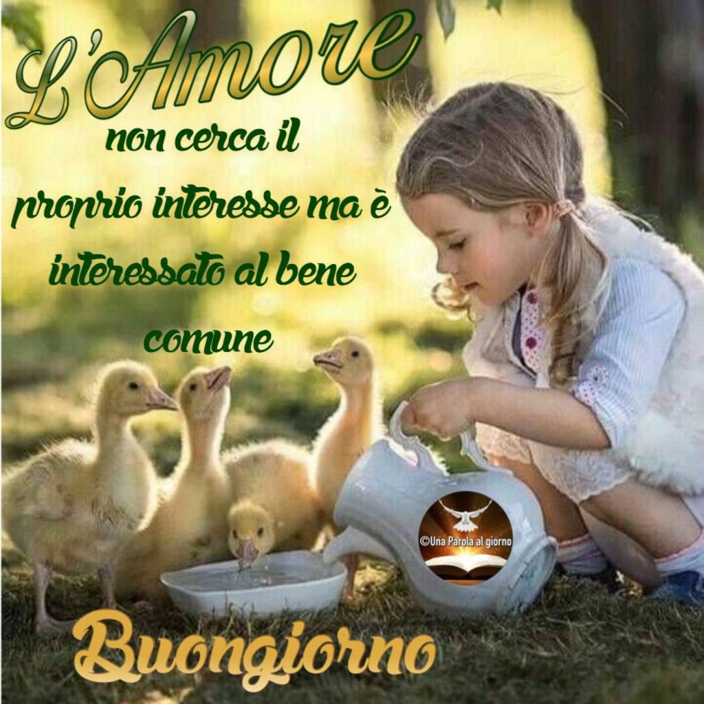 L'amore non cerca il proprio interesse ma è interessato al bene comune. Buongiorno