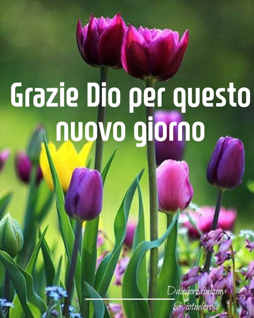 Grazie Dio per questo nuovo giorno