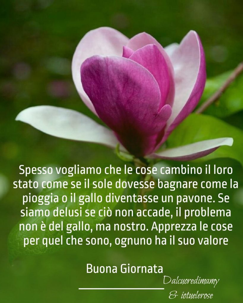 Spesso vogliamo che le cose cambino il loro stato come se il sole dovesse bagnare come la pioggia o il gallo diventasse un pavone... Buona Giornata