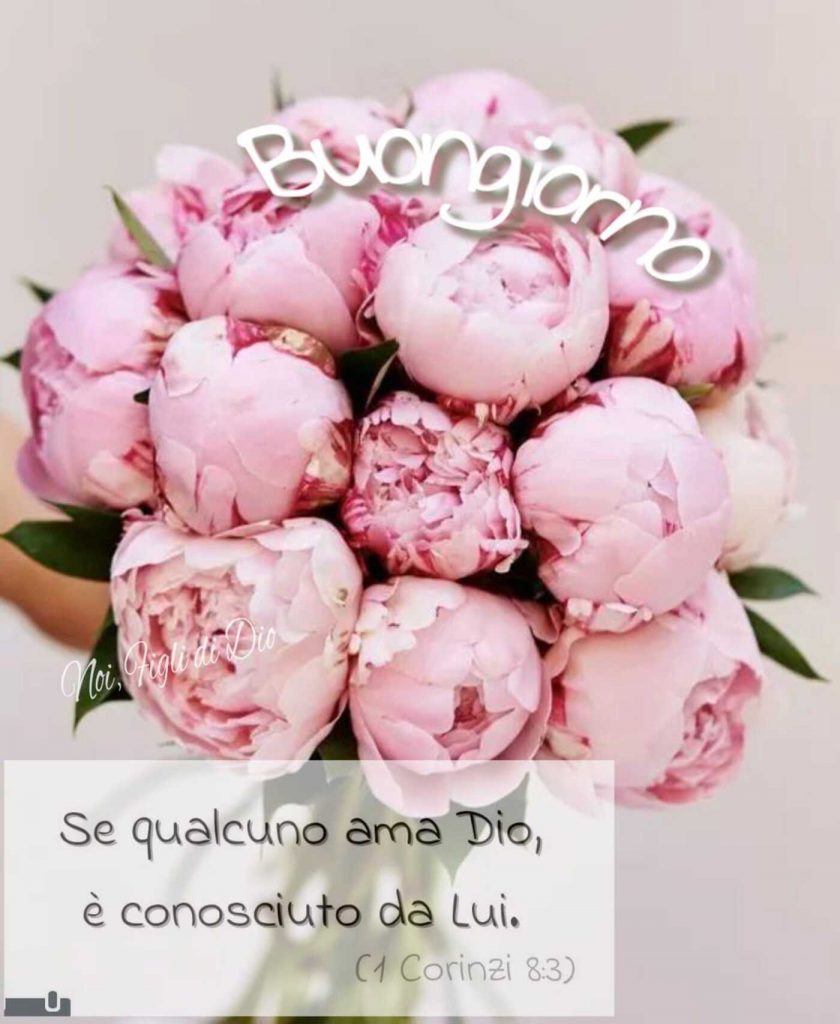 Buongiorno. Se qualcuno ama Dio, è conosciuto da Lui.