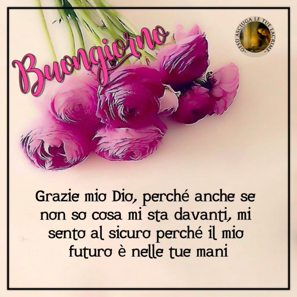 Buongiorno. Grazie mio Dio, perché anche se non so cosa mi sta davanti, mi sento al sicuro perché il mio futuro è nelle tue mani.