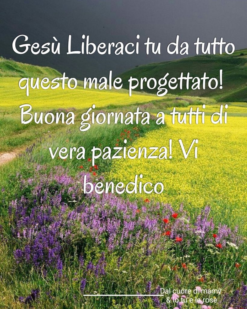 Gesù liberaci Tu da tutto questo male progettato! Buona Giornata a tutti di vera pazienza! Vi benedico