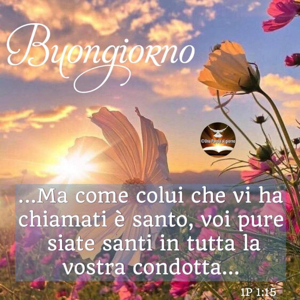 Buongiorno... Ma come colui che vi ha chiamati è santo, voi pure siate santi in tutta la vostra condotta...