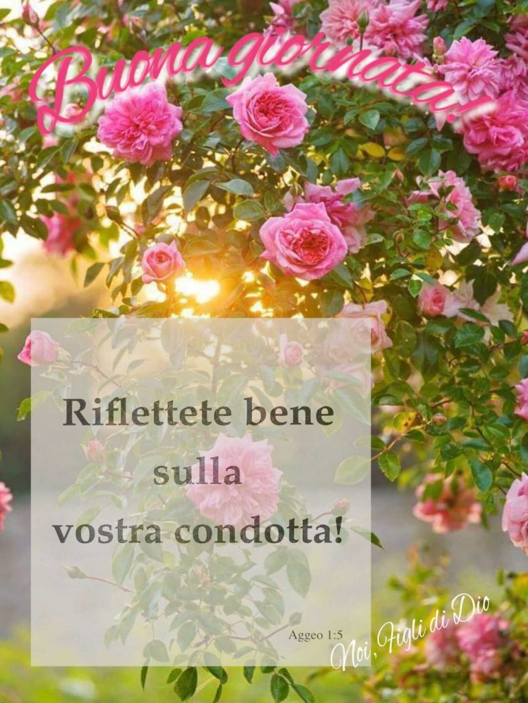 Buona giornata! Riflettete bene sulla vostra condotta! (Aggeo 1:5)