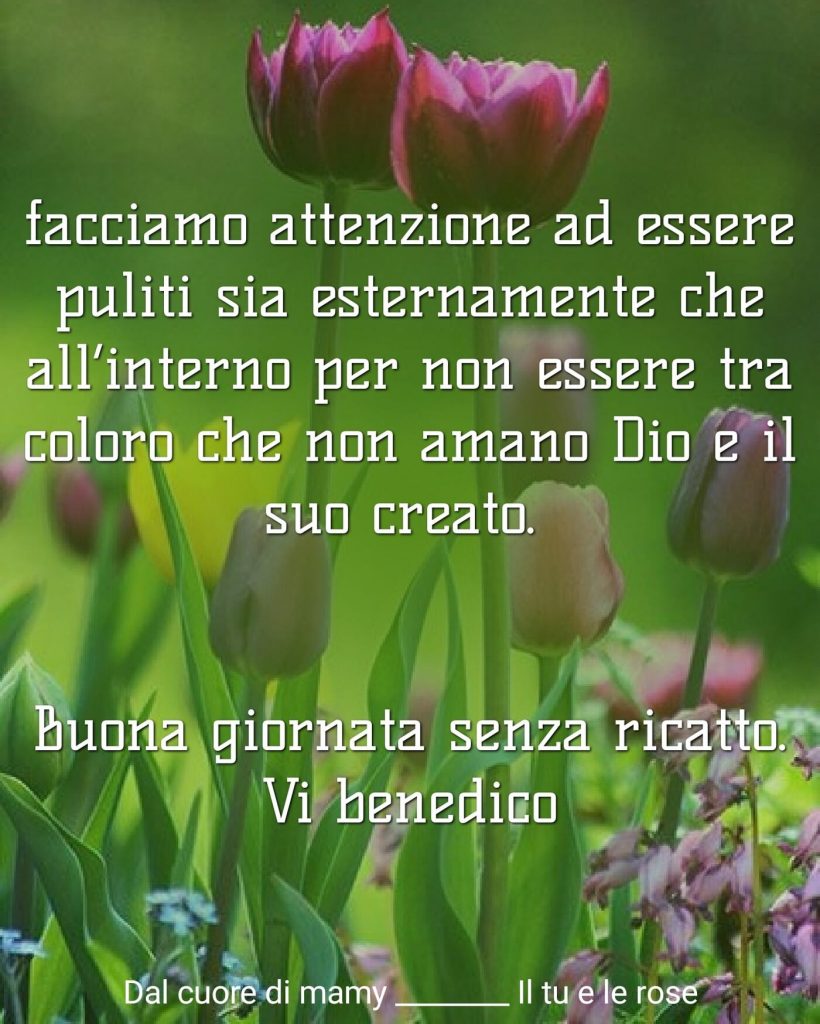 Facciamo attenzione ad essere puliti sia esternamente che all'interno per non essere tra coloro che non amano Dio e il Suo creato. Buona Giornata senza ricatto. Vi benedico