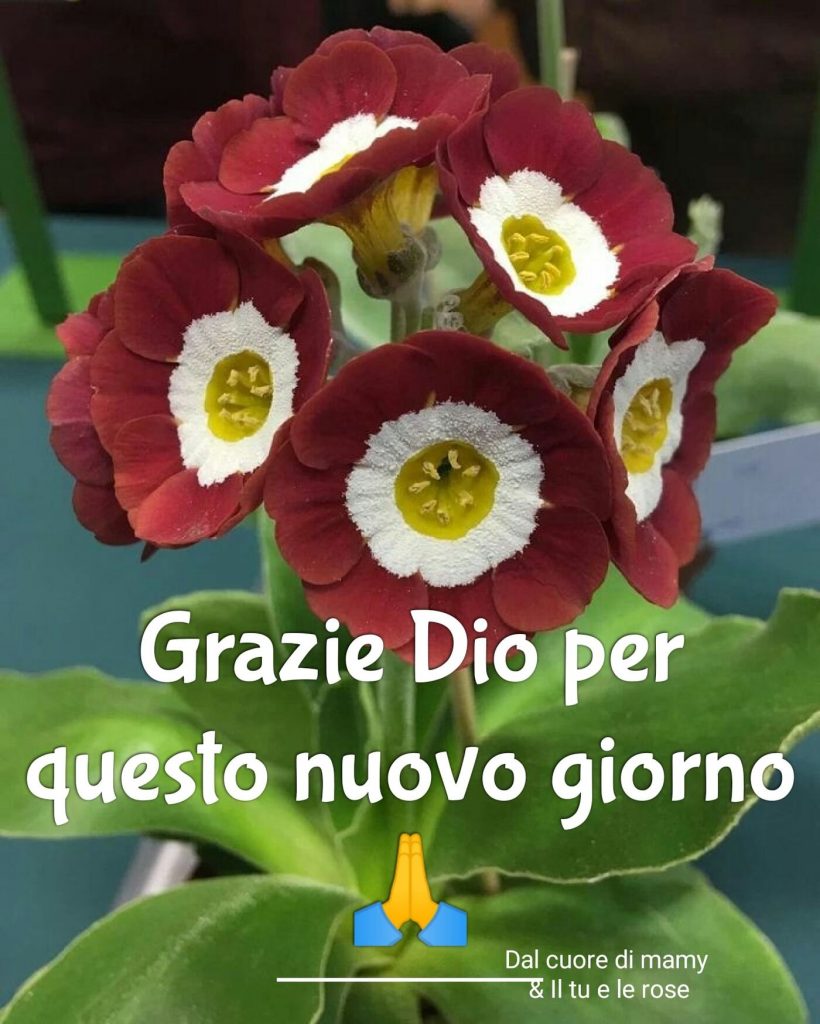 Grazie Dio per questo nuovo giorno