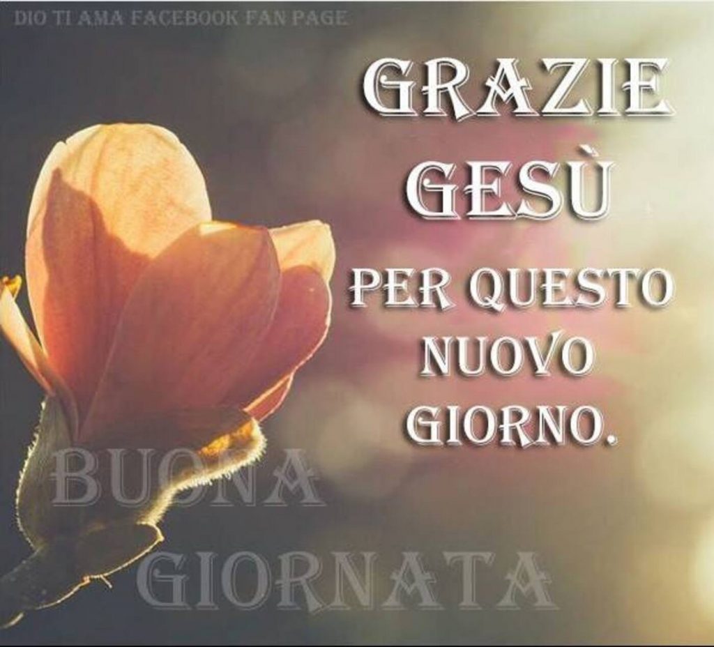 Grazie Gesù per questo nuovo giorno. BUONA GIORNATA