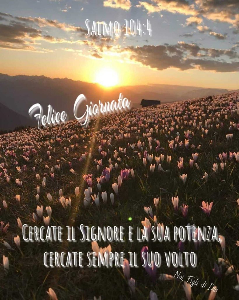 Felice Giornata. Cercate il Signore e la Sua potenza, cercate sempre il Suo volto. (Salmo 104:4)