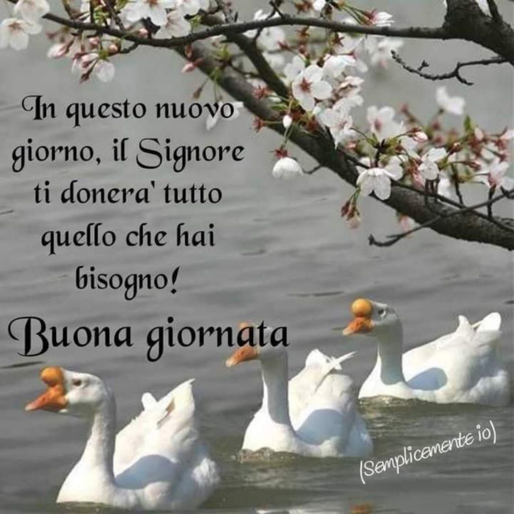 In questo nuovo giorno, il Signore ti donerà tutto quello di cui hai bisogno! Buona giornata