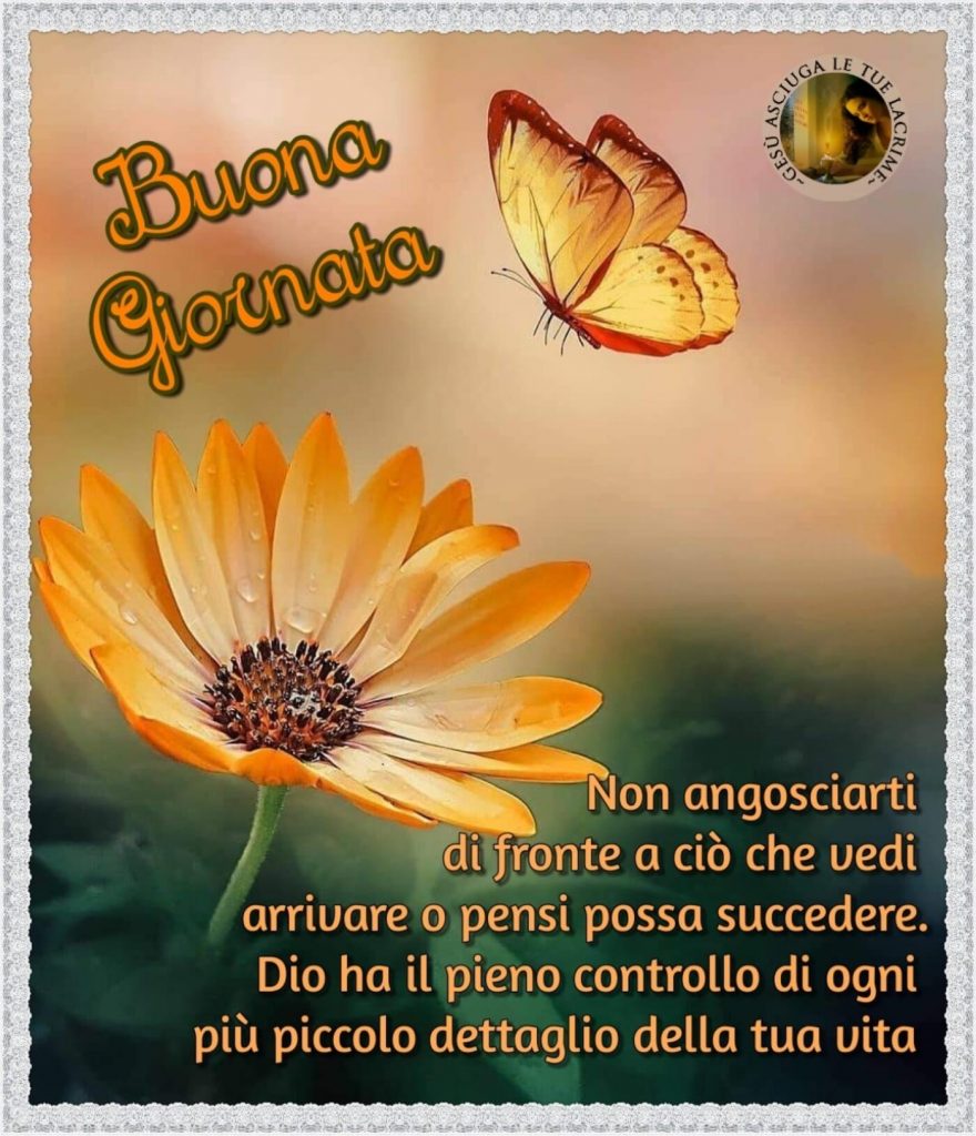 Buona Giornata. Non angosciarti di fronte a ciò che vedi arrivare o pensi possa succedere. Dio ha il pieno controllo di ogni più piccolo dettaglio della tua vita.