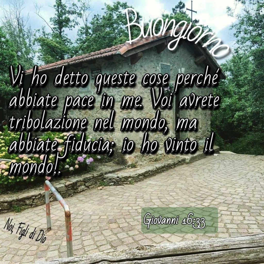 Buongiorno. "Vi ho detto queste cose perché abbiate pace in me. Voi avrete tribolazione del mondo, ma abbiate fiducia; io ho vinto il mondo!" (Giovanni 16:33)