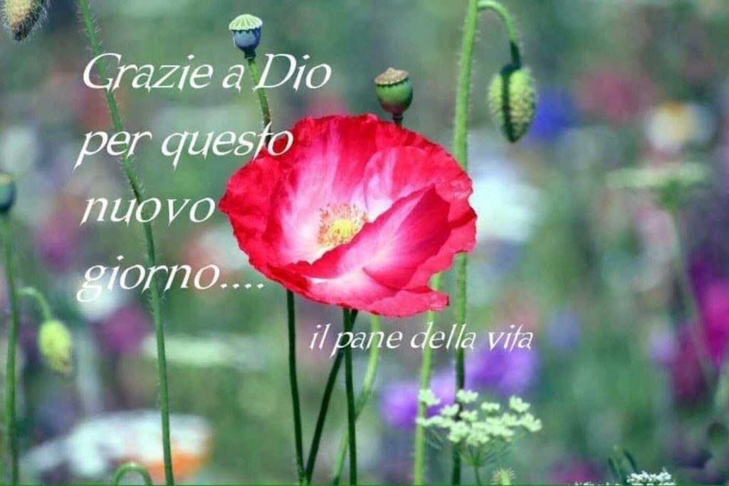 Grazie a Dio per questo nuovo giorno....