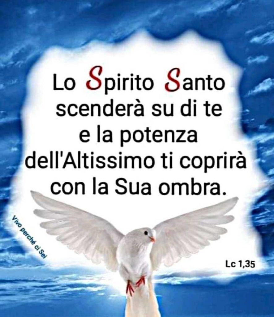 Lo Spirito Santo scenderà su di te e la potenza dell'Altissimo ti coprirà con la Sua ombra. (Lc 1,35)