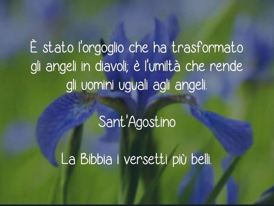 È stato l'orgoglio che ha trasformato gli angeli in diavoli; è l'umiltà che rende gli uomini uguali agli angeli. (Sant'Agostino)