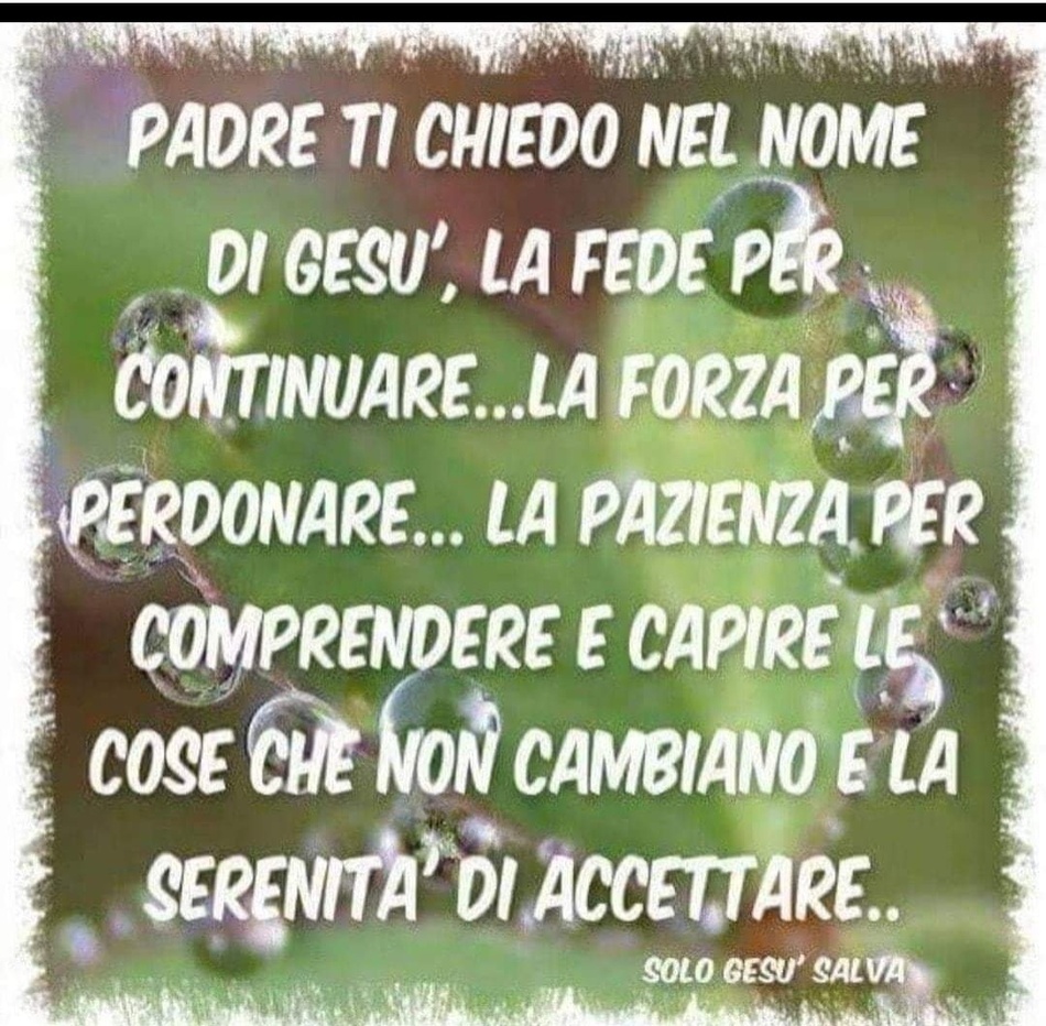 Padre ti chiedo nel nome di Gesù, la fede per continuare... la forza per perdonare... la pazienza per comprendere e per capire le cose che non cambiano e la serenità di accettare...