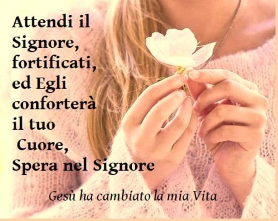 Attendi il Signore, fortificati, ed Egli conforterà il tuo cuore, spera nel Signore