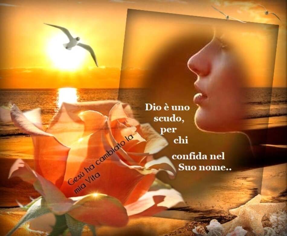 Dio è uno scudo, per chi confida nel Suo nome... (Gesù ha cambiato la mia vita)
