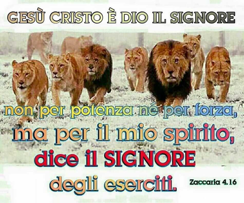 Gesù Cristo è Dio il Signore non per potenza né per forza, ma per il mio spirito, dice il Signore degli eserciti. (Zaccaria 4,16)