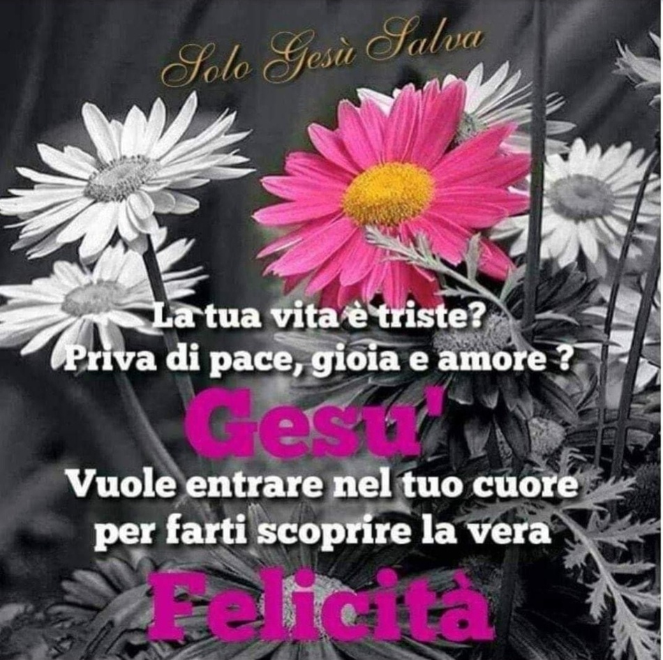 La tua vita è triste? Priva di pace, gioia e amore? Gesù vuole entrare nel tuo cuore per farti scoprire la vera felicità