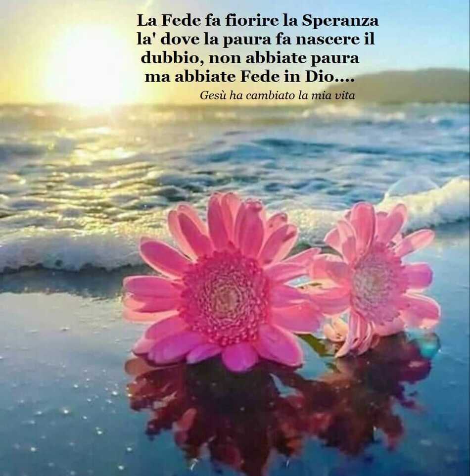 La Fede fa fiorire la Speranza là dove la paura fa nascere il dubbio, non abbiate paura ma abbiate Fede in Dio...