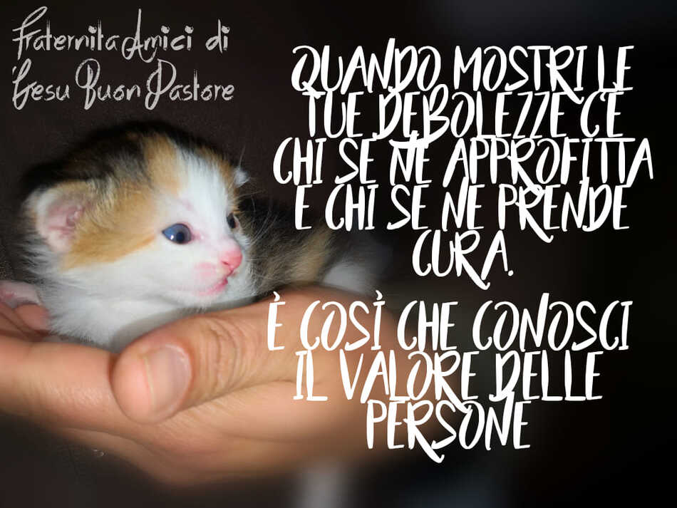 Quando mostri le tue debolezze c'è chi se ne approfitta e chi se ne prende cura. È così che conosci il valore delle persone.