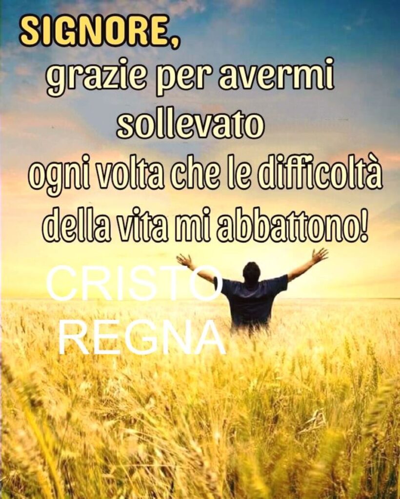 Signore, grazie per avermi sollevato ogni volta che le difficoltà della vita mi abbattono!