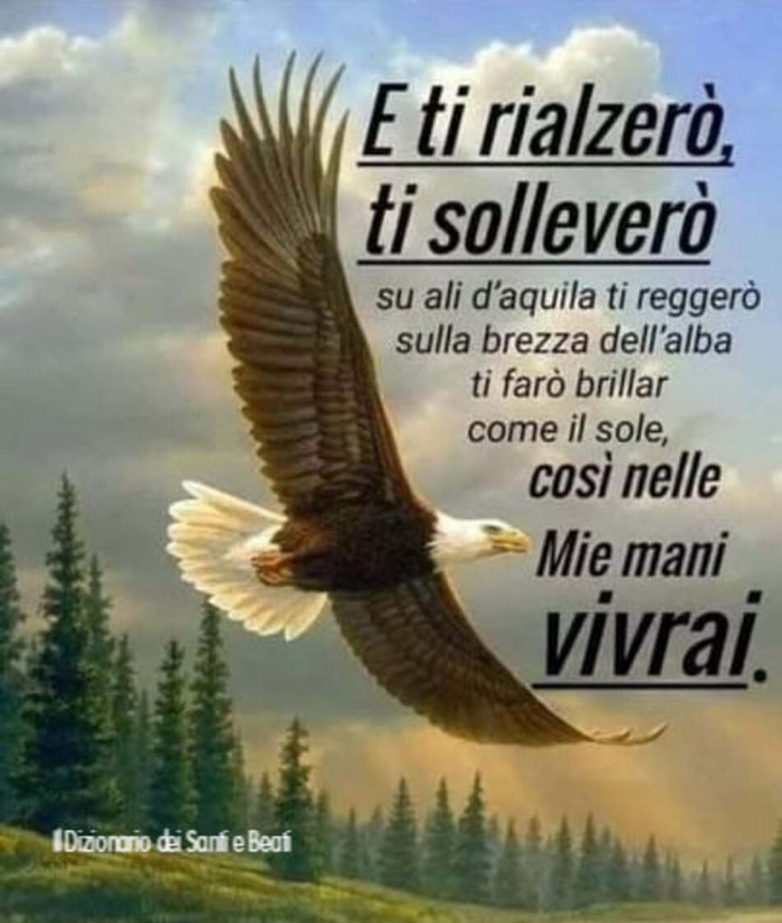 E ti rialzerò, ti solleverò su ali d'aquila ti reggerò sulla brezza dell'alba ti farò brillar come il sole, così nelle mie mani vivrai.