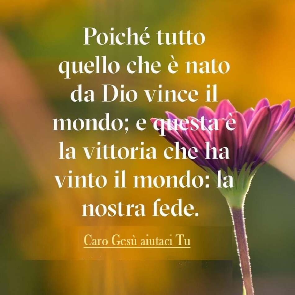 Poiché tutto quello che è nato da Dio vince il mondo; e questa è la vittoria che ha vinto il mondo: la nostra fede.