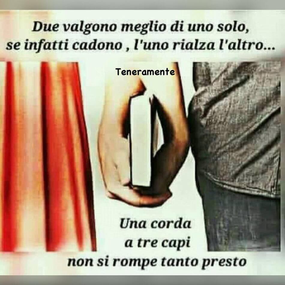 Due valgono meglio di uno solo, se infatti cadono, l'uno rialza l'altro... Una corda a tre capi non si rompe tanto presto