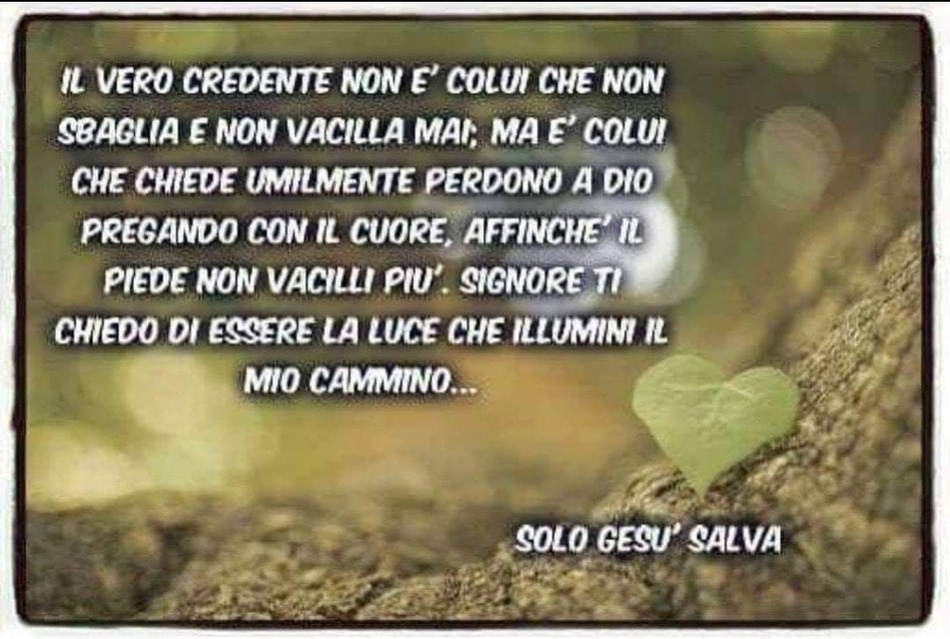 Il vero credente non è colui che non sbaglia e non vacilla mai; ma è colui che chiede umilmente perdono a Dio pregando con il cuore, affinché il piede non vacilli più...