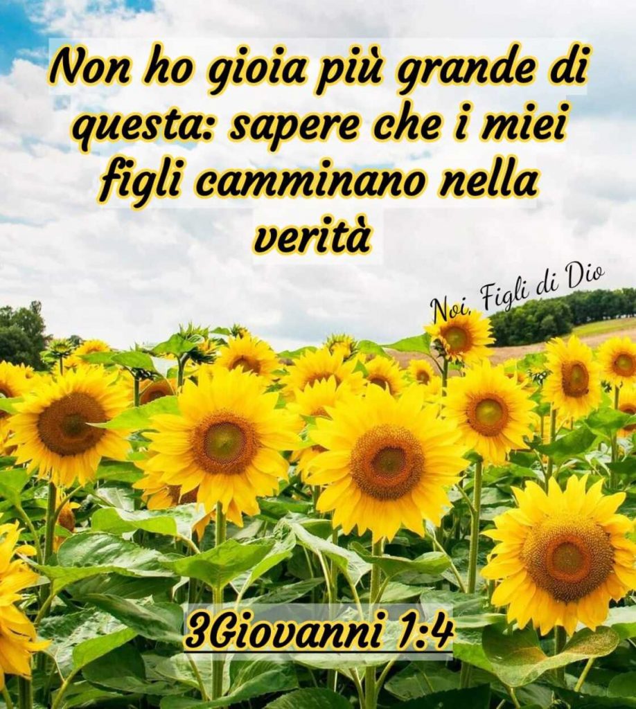 Non ho gioia più grande di questa: sapere che i miei figli camminano nella verità. (3Giovanni 1:4)