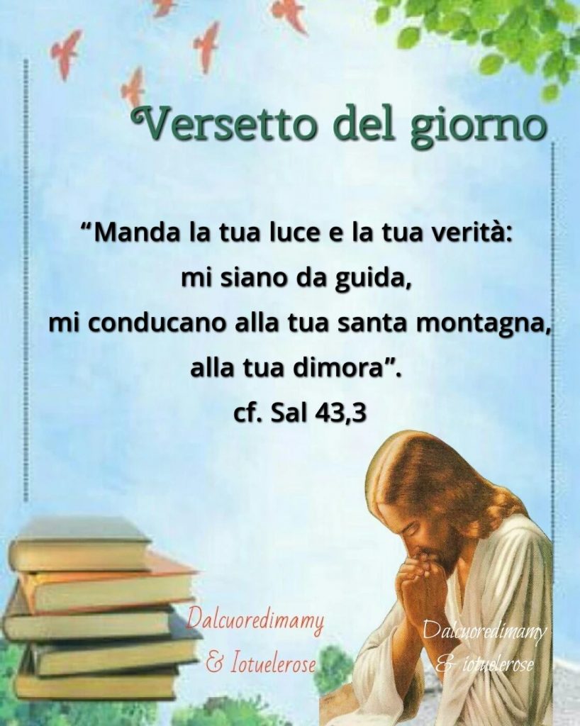 Versetto del giorno. "Manda la tua luce e la tua verità: mi siano da guida, mi conducano alla tua santa montagna, alla tua dimora". (cf. Sal 43,3)