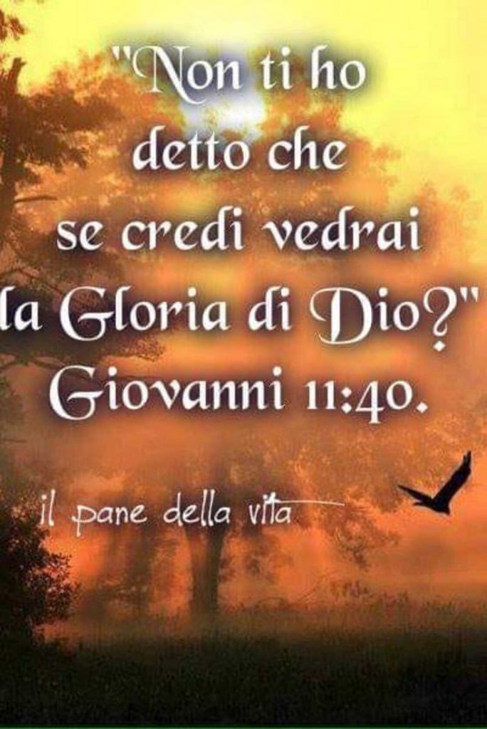 "Non ti ho detto che se credi vedrai la Gloria di Dio?" (Giovanni 11:40)