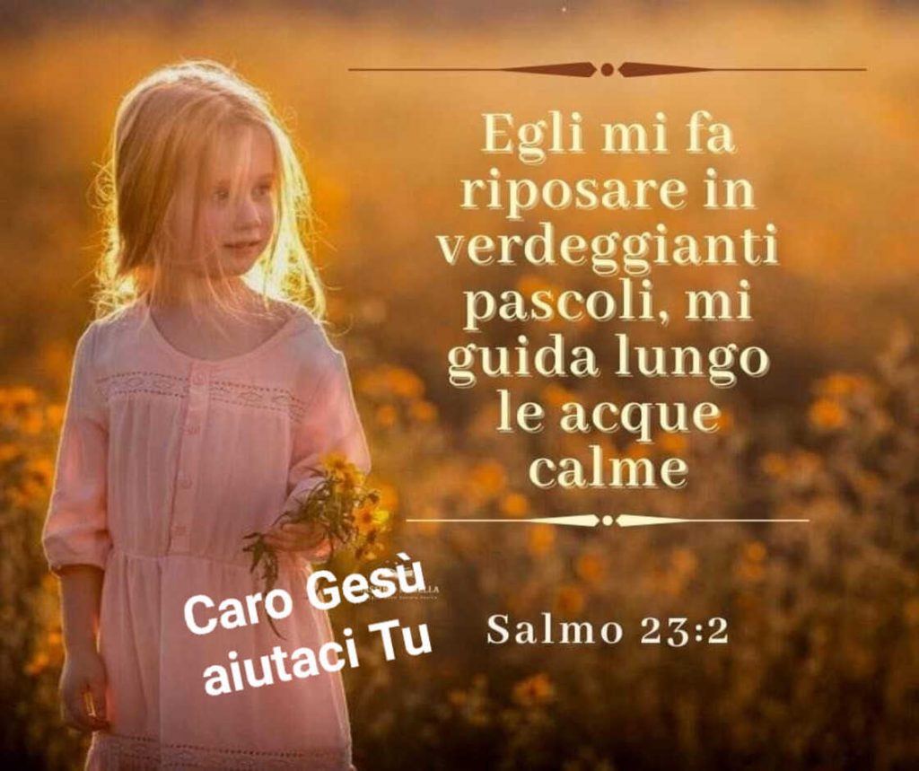 Egli mi fa riposare in verdeggianti pascoli, mi guida lungo le acque calme (Salmo 23:2)