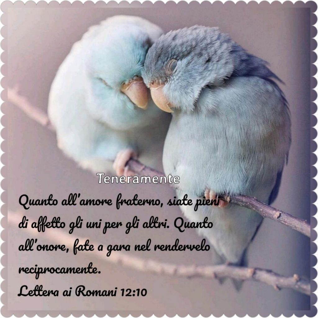 Quanto all'amore fraterno, siate pieni di affetto gli uni per gli altri. Quanto all'onore, fate a gara per rendervelo reciprocamente. (Lettera ai Romani 12:10)